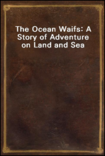 The Ocean Waifs