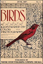 Birds, Illustrated by Color Photography, Vol. 1, No. 6June, 1897