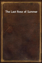 The Last Rose of Summer