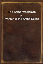 The Arctic Whalemanor, Winter in the Arctic Ocean