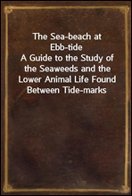 The Sea-beach at Ebb-tideA Guide to the Study of the Seaweeds and the Lower Animal Life Found Between Tide-marks
