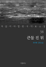 큰물 진 뒤 : 꼭 읽어야 할 한국 대표 소설 38