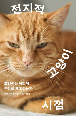 전지적 고양이 시점