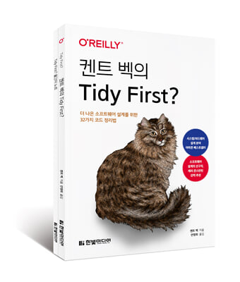 켄트 벡의 Tidy First?