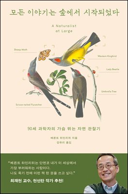 모든 이야기는 숲에서 시작되었다