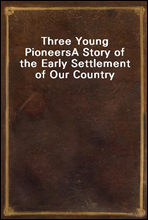 Three Young PioneersA Story of the Early Settlement of Our Country
