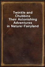 Twinkle and ChubbinsTheir Astonishing Adventures in Nature-Fairyland