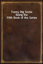 Funny Big SocksBeing the Fifth Book of the Series