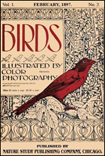 Birds, Illustrated by Color Photography, Vol. 1, No. 2February, 1897