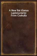 A New Bat (Genus Leptonycteris) From Coahuila