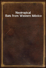 Neotropical Bats from Western Mexico
