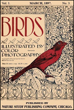 Birds, Illustrated by Color Photography, Vol. 1, No. 3March 1897