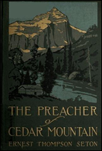 The Preacher of Cedar Mountain