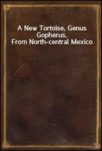 A New Tortoise, Genus Gopherus, From North-central Mexico