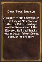 Down Town BrooklynA Report to the Comptroller of the City of New York on Sites for Public Buildings and the Relocation of the Elevated Railroad Tracks now in Lower Fulton Street, Borough of Brooklyn