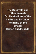 The Squirrels and other animalsOr, Illustrations of the habits and instincts of many of the smaller British quadrupeds