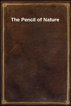 The Pencil of Nature