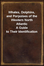 Whales, Dolphins, and Porpoises of the Western North AtlanticA Guide to Their Identification