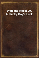 Wait and Hope; Or, A Plucky Boy's Luck