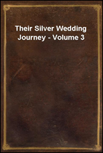 Their Silver Wedding Journey - Volume 3