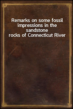 Remarks on some fossil impressions in the sandstone rocks of Connecticut River