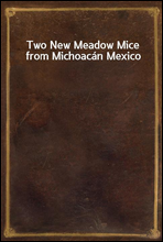 Two New Meadow Mice from Michoacan Mexico