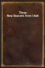 Three New Beavers from Utah