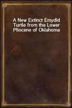 A New Extinct Emydid Turtle from the Lower Pliocene of Oklahoma