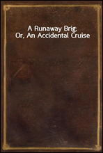 A Runaway Brig; Or, An Accidental Cruise