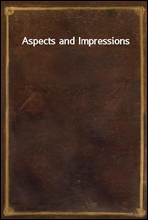 Aspects and Impressions