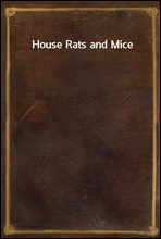 House Rats and Mice