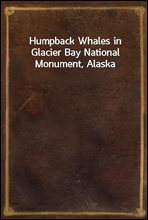 Humpback Whales in Glacier Bay National Monument, Alaska