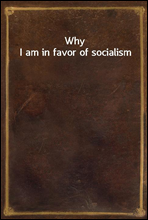 Why I am in favor of socialism