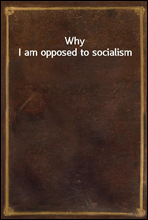 Why I am opposed to socialism