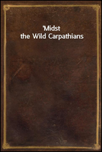 Midst the Wild Carpathians