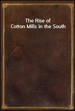 The Rise of Cotton Mills in the South