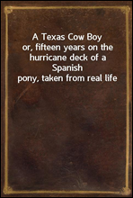 A Texas Cow Boyor, fifteen years on the hurricane deck of a Spanish pony, taken from real life