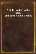 A Little Brother to the Bear, and other Animal Studies
