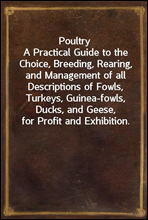 PoultryA Practical Guide to the Choice, Breeding, Rearing, and Management of all Descriptions of Fowls, Turkeys, Guinea-fowls, Ducks, and Geese, for Profit and Exhibition.