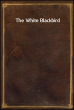 The White Blackbird