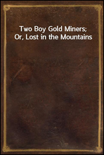 Two Boy Gold Miners; Or, Lost in the Mountains
