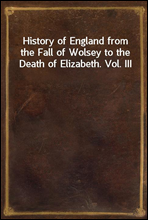 History of England from the Fall of Wolsey to the Death of Elizabeth. Vol. III