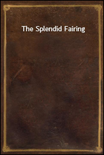 The Splendid Fairing