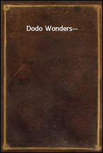 Dodo Wonders--