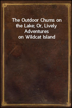 The Outdoor Chums on the Lake; Or, Lively Adventures on Wildcat Island