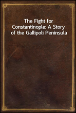 The Fight for Constantinople