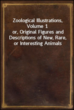 Zoological Illustrations, Volume 1or, Original Figures and Descriptions of New, Rare, or Interesting Animals