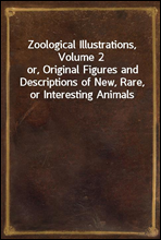 Zoological Illustrations, Volume 2or, Original Figures and Descriptions of New, Rare, or Interesting Animals