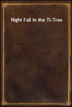 Night Fall in the Ti-Tree