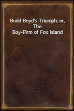 Budd Boyd's Triumph; or, The Boy-Firm of Fox Island